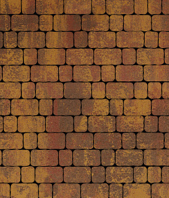 Тротуарная плитка АРЕНА - Б.1.АР.6 комплект из 2 видов плит Листопад гладкий Выбор